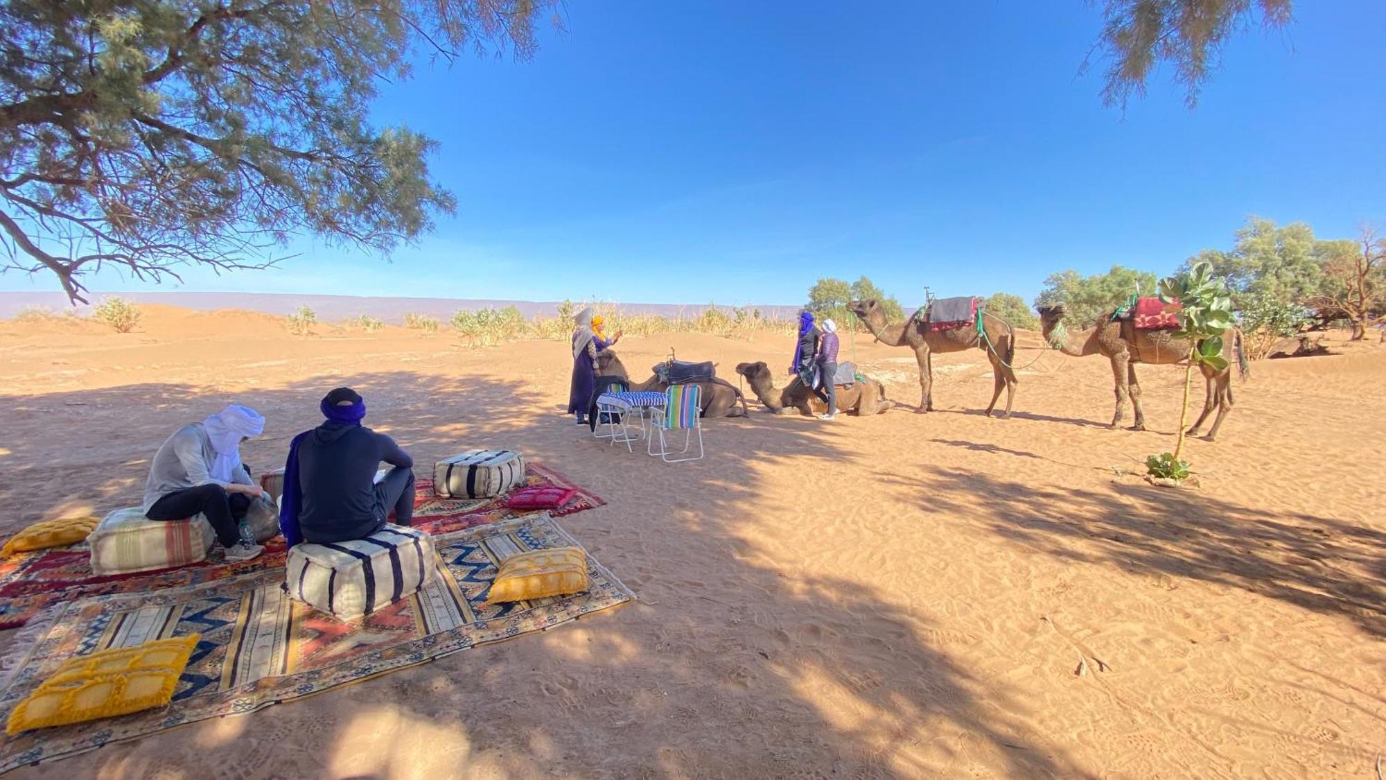 Atta Desert Camp El Gouera Extérieur photo