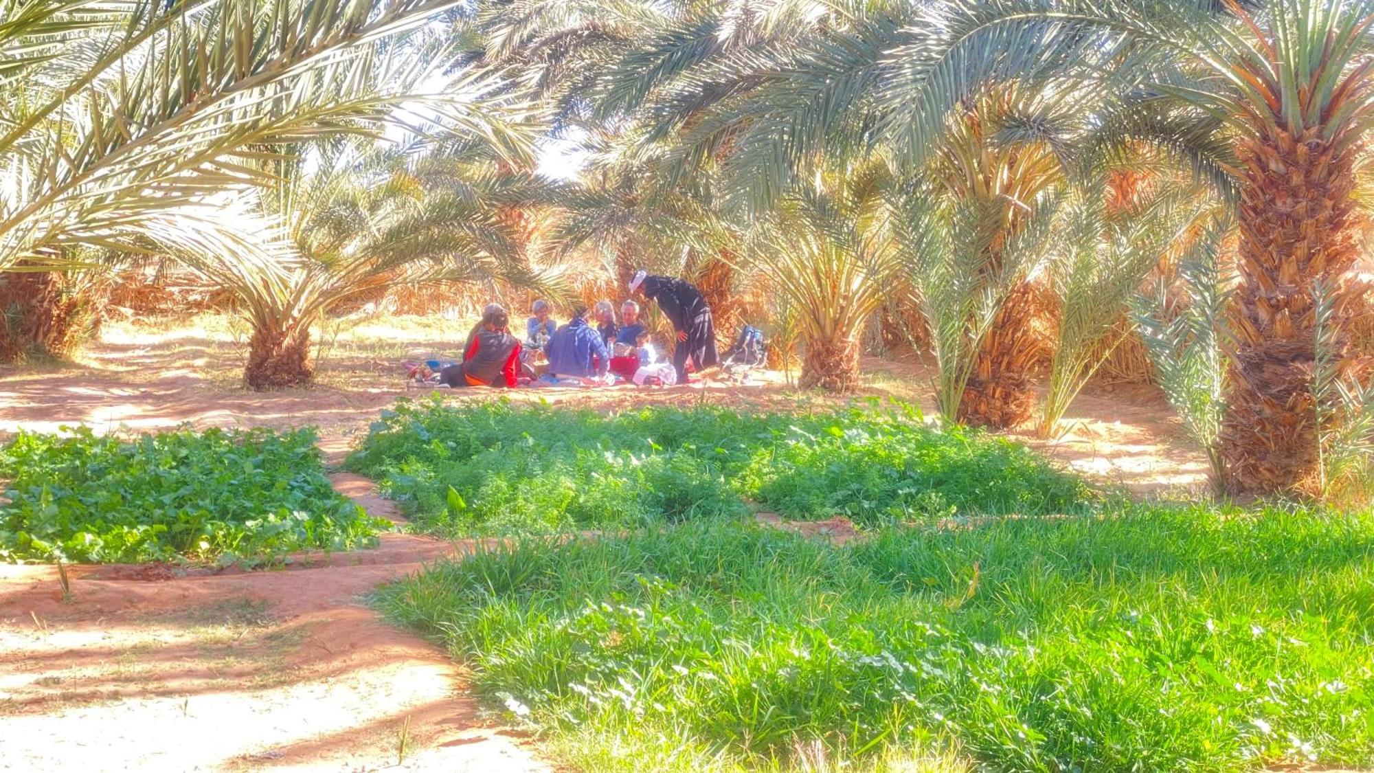 Atta Desert Camp El Gouera Extérieur photo