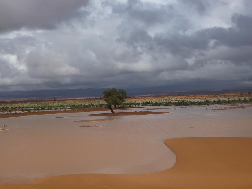 Atta Desert Camp El Gouera Extérieur photo